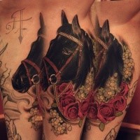 Neuschulstil farbiger Unterschenkel Tattoo des tollen Pferdes und Beschriftung