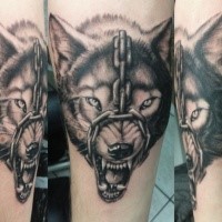 New school style colored tattoo of evil wolf with chain