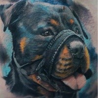 New school style colored tattoo of very detailed dog