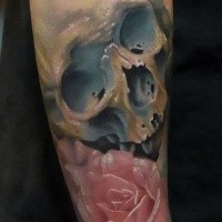 New school style colorful forearm tattoo of human skull with pink rose and small bee