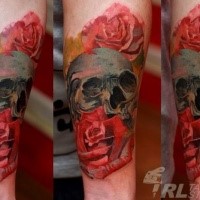 New school style colorful forearm tattoo of human skull with roses