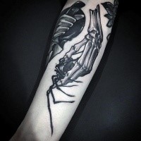 New school style detailed looking tattoo of skeleton hand holding spider