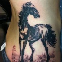 carino stile asiatico cavallo scuro tatuaggio su costolette