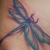 Schöne blaue Libelle Tattoo