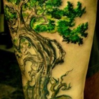 Tatuaggio verde sulla gamba l'albero con le foglie verde