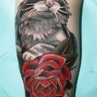 bel gatto con rosa rossa tatuaggio  su braccio