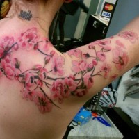 Tatuaggio colorato sulla spalla la sakura fiorita