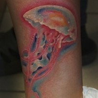 bella colorata medusa piccolo dipinto tatuaggio su gamba