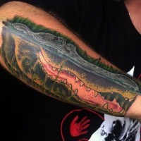 bel colorato realistico alligatore tatuaggio su braccio