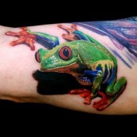 Nice colorful frog tattoo on arm