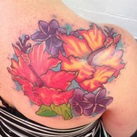 Nice coloured hibiscus flowers tattoo on shoulder