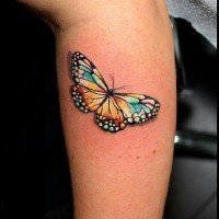 Schönes niedliches Schmetterling Tattoo an der Wade