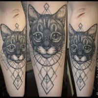 Tatuagem agradável do braço do estilo do ponto do gato bonito com ornamento geométricos