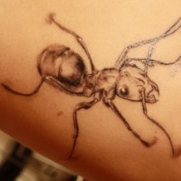 Nice gray-ink ant tattoo for girls