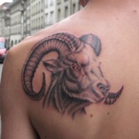 Tatuaje en la espalda, retrato de ovis  severo