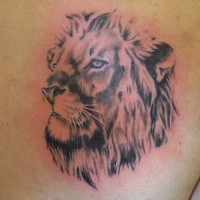 Tatuaje  de león gris severo en la espalda