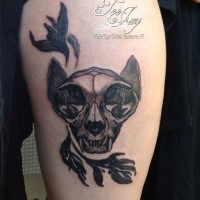Nice looking black and gray style shoulder tattoo of cat skull with bird