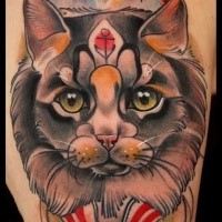 Nice looking colored shoulder tattoo of creepy cat