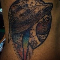 Nice looking colored side tattoo of big whale with ornaments