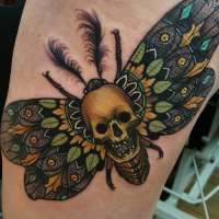 Nice looking colored tattoo of fantasy bug stylized with human skull