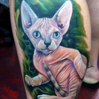 Nice looking lifelike leg tattoo of Sphinx cat