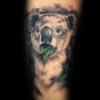 Nice looking natural painted koala bear with leaves