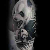 nice natural looking colored shoulder tattoo of big panda bears