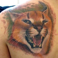 Nice painted big colored roaring wild cat tattoo on shoulder
