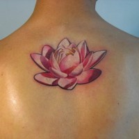 Nice pink lotus flower tattoo on back
