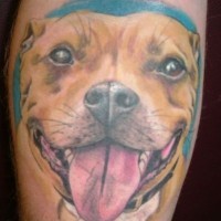 Nice pitbull dog tattoo