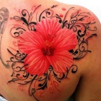 Nice red hibiscus flower tattoo on shoulder blade