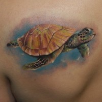 Nice watercolor realistic turtle tattoo on shoulder blade