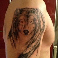 Tatuaje en el brazo, lobo atento y pluma