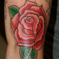 Old cartoons like little red colored rose with leaves tattoo on arm
