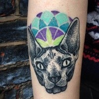 Old dot style colored tattoo of sphinx cat with ornaments