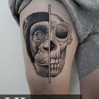 Antiga tatuagem de coxa estilo ponto dotada por Valentin Hirsch de cabeça de macaco e crânio separados
