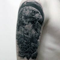 Old picture style colored detailed eagle tattoo on shoulder with maple leaves