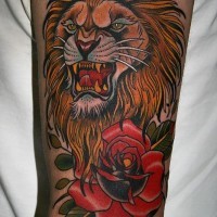 Tatuaje en el brazo, león furioso con rosa, old school