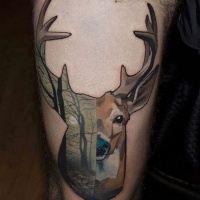Old school colored deer tattoo stylized with dark forest