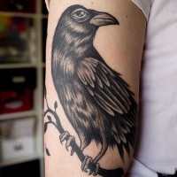 Tatuaje en el brazo,
cuervo solo en la rama