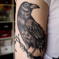 Old school detailed arm tattoo of black ink crow