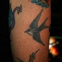 Old school small tattoos of birds