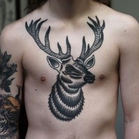 Alt school Stil farbige Brust-tattoo von unglaublichen Hirsch