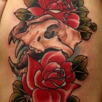 Old school style colored tattoo of ancient animal skull with roses