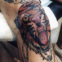 Oldschool Stil farbiges Tiger Tattoo am Knie