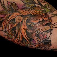 Old school style multicolored lion tattoo on arm with leaves