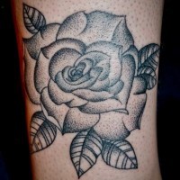Schwarze und weiße detaillierte Rose Blume mit kleinen Punkten im alten Stil
