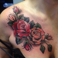Old style various colored chest tattoo of rose flowers