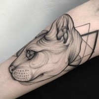 Tatuaje en el antebrazo,
cabeza de gato magnífico y triángulos