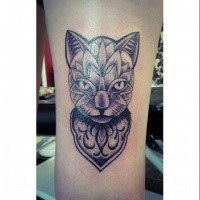 Original designed colored dot style leg tattoo of mysterious cat with nice ornaments